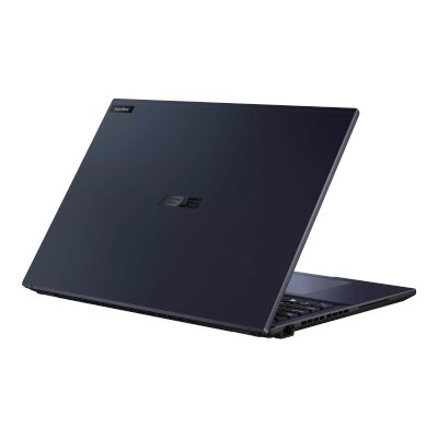 ноутбук ASUS ExpertBook B3 B3604CVA-Q90145 90NX07B1-M004Z0-wpro Черный