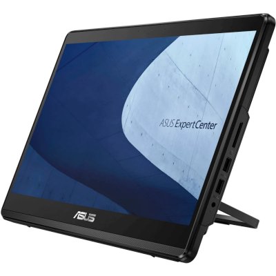 моноблок ASUS ExpertCenter E1 E1600WKAT-BA007M 90PT0391-M00CT0 Черный