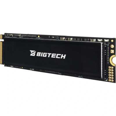 SSD диск BigTech 1Tb BSDS1000M4E Черный