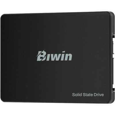 SSD диск Biwin M100 256Gb BM100NN256G-RGX Черный