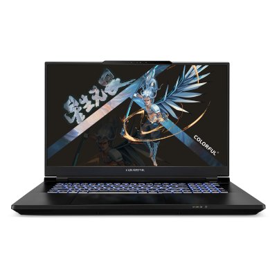 ноутбук Colorful EVOL X17 Pro Max A10003400459-wpro Серый