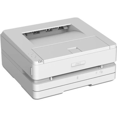 принтер Deli P2500DW Белый