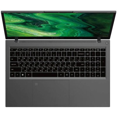ноутбук Digma Pro Fortis M DN17P7-ADXW01 Серый