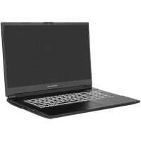 ноутбук Dream Machines RG3050-17RU25 Черный