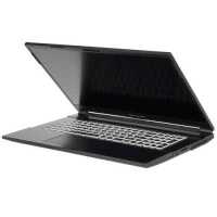 ноутбук Dream Machines RG3050-17RU25 Черный