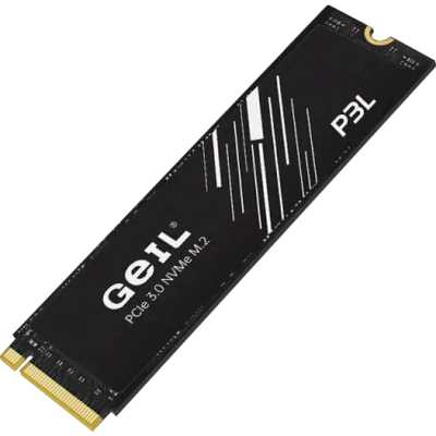 SSD диск GeIL P3L 2Tb P3LFD16I2TBA Черный