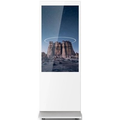 специальный дисплей GoodView L49H10C