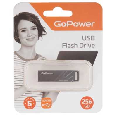 флешка GoPower 256GB 00-00027356 Серый