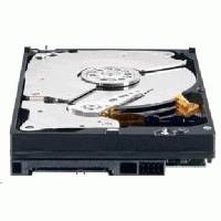 жесткий диск WD WD5003ABYZ
