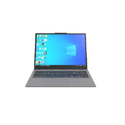 ноутбук Hiper WorkBook I172 CWBY172-I312UR08S5FA Серебристый