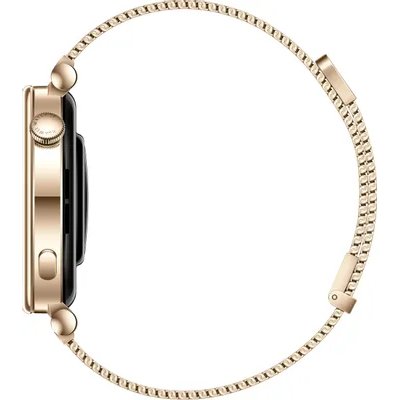 смарт часы Huawei Watch GT 4 41 mm Gold 55020BHW