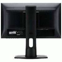 монитор Iiyama ProLite B2083HSD-B1 Черный