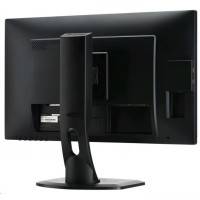 монитор Iiyama ProLite B2483HSU-B1DP Черный