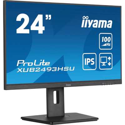 монитор Iiyama ProLite XUB2493HSU-B7 Черный