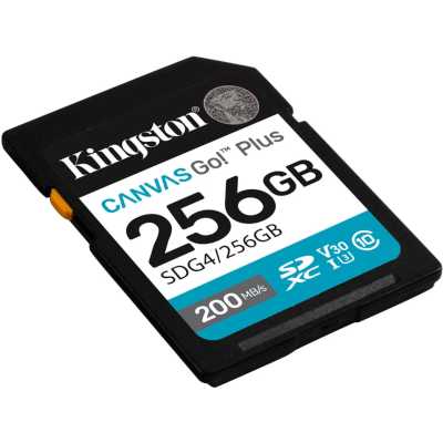карта памяти Kingston Canvas Go! Plus 256GB SDG4/256GB