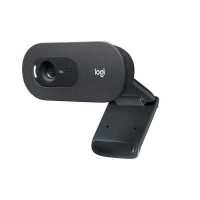 веб-камера Logitech C505 HD 960-001364 черный