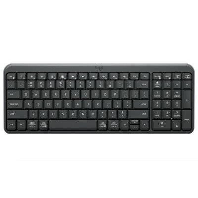клавиатура Logitech K250 Graphite 920-013452 Серый