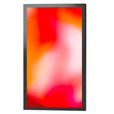 профессиональный дисплей Lumien Outdoor 02 LOS6502UHD
