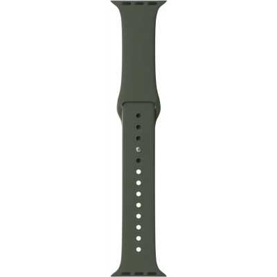 ремешок Lyambda DSJ-01-40-OL