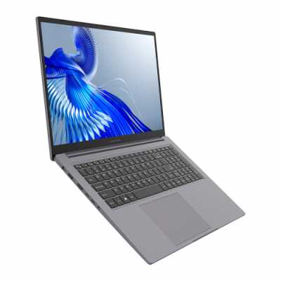 ноутбук Maibenben P725 P7251SF0LGRE0_Win11P Серый