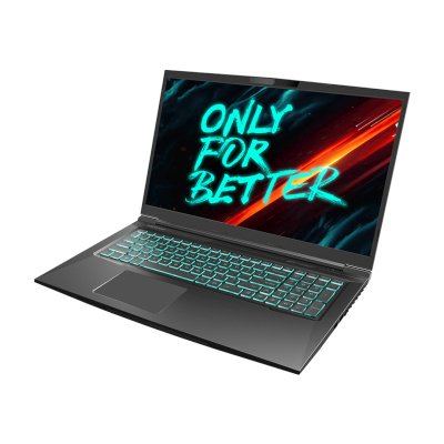ноутбук Maibenben X668 X668QSJELBRE0-wpro Черный
