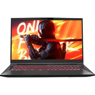 ноутбук Maibenben X725 X725FSFNLBRE0-wpro Черный