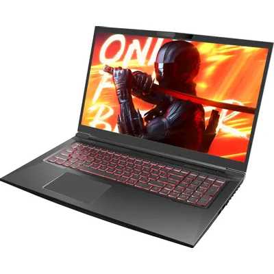 ноутбук Maibenben X725 X725FSFNLBRE0-wpro Черный