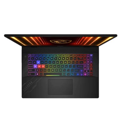 ноутбук MSI Crosshair 17 HX AI D2XWFKG-053XRU Черный
