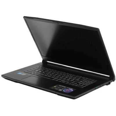 ноутбук MSI Katana 17 B13VEK-1089XRU Черный
