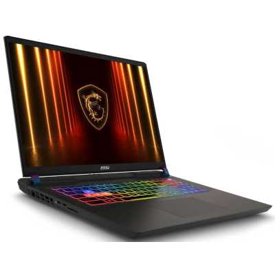 ноутбук MSI Vector 17 HX AI A2XWIG-220XRU Серый