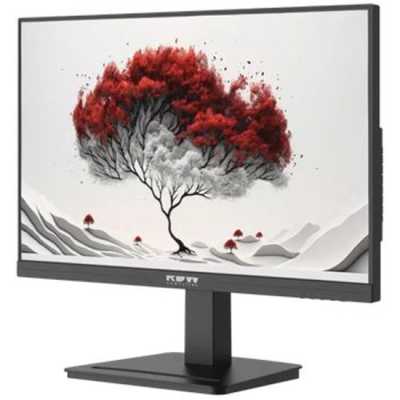 монитор RDW Computers 2401K/F08B0100V2A1A Черный
