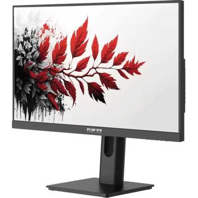 монитор RDW Computers 2701K/F00B3120V2A1 Черный