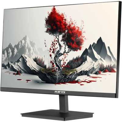 монитор RDW Computers RDW2401K 2401K/F00B0100V2A1H Черный