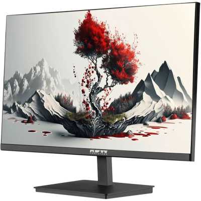монитор RDW Computers RDW2401K/F00B0100V2A1 Черный