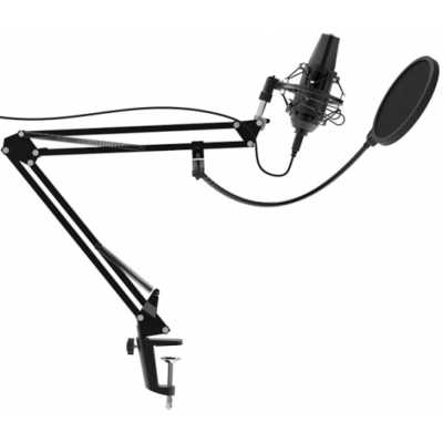 микрофон Ritmix RDM-180 Black Черный