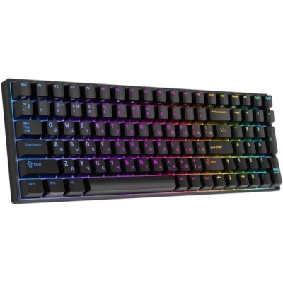 клавиатура Royal Kludge RK100 Black 6935280824036 Черный