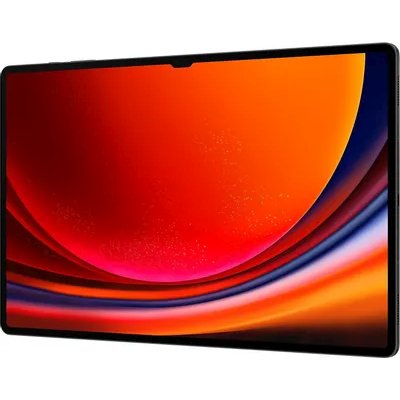 планшет Samsung Galaxy Tab S9 Ultra 5G SM-X916BZAICAU