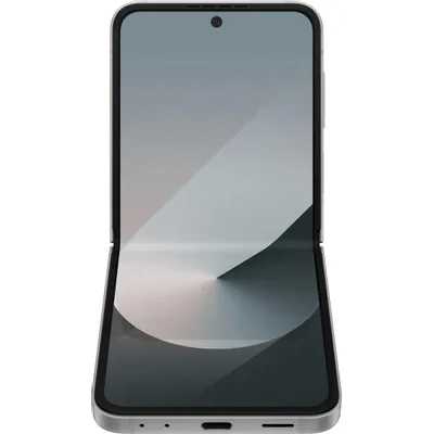 смартфон Samsung Galaxy Z Flip 6 12/256GB Grey SM-F741BZSGCAU серый