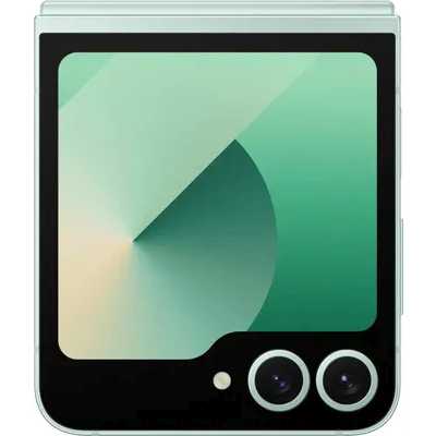 смартфон Samsung Galaxy Z Flip 6 12/512GB Mint SM-F741BLGHCAU мятный