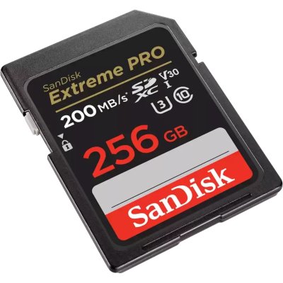 карта памяти SanDisk 256GB SDSDXXD-256G-GN4IN